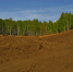 Стройка за стадионом "Тобол": фоторепортаж - Tobolsk.Ru