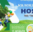 В Тобольске пройдет «ЭкоДень календаря» - Территория первых. Тобольск