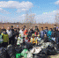 В Тобольске спасали китов - Tobolsk.Info
