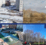 Александр Моор похвалил тоболяков за активную жизненную позицию - Tobolsk.Info