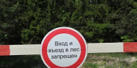 За неправомерное посещение лесов оштрафовали 34 человека - TobGorod.Ru
