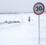 На ледовой переправе Тобольск — Бекерево разрешат движение транспорта до 30 тонн - Tobolsk.Info