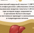 Хронический вирусный гепатит C - Областная больница №3